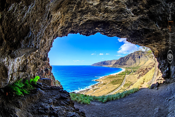Cave Dweller