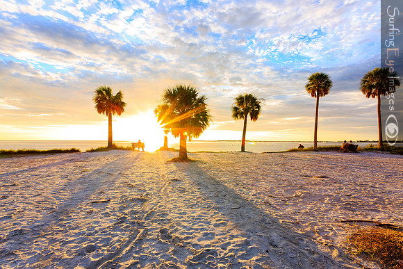 Beyond the Palms